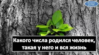 Какого числа родился человек такая у него вся жизнь