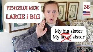 Різниця між LARGE і BIG в Англійській Мові🇺🇸🙃