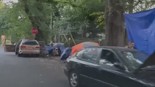 Laurelhurst neighbors say trees pose ‘significant threat’ to homeless