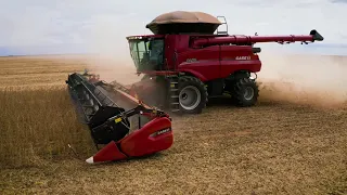 Nova Axial-Flow Série 250 | Sistema inteligente de regulagem automática