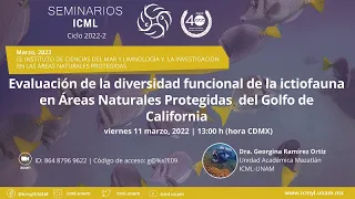 Seminario ICML. Sesión 4. Ciclo 2022-2