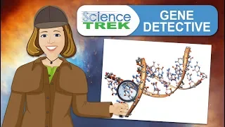 Heredity: Gene Detectives | Science Trek