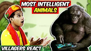 Villagers React To Animals Filmed Having HUMAN-Like IQs ! Tribal People React To Intelligent Animals