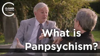 Keith Ward - What is Panpsychism?