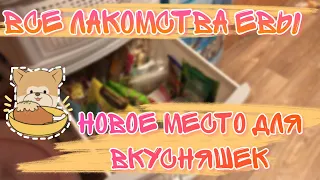 Все лакомства моей собаки | Уборка лакомств в новый ящик