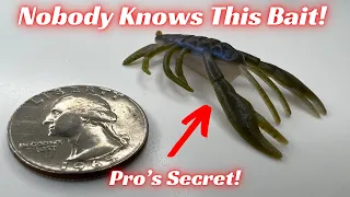 Nobody Knows About These Little Baits And Are A Secret Of The Pros!