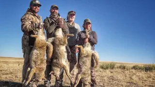 A Coyote Triple to End the Hunt in Colorado! - The Last Stand S4E6