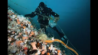 Saltstraumen Marine Conservation Area