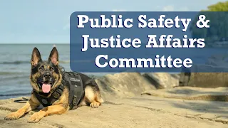 2024.04.16 Public Safety & Justice Affairs Committee Meeting