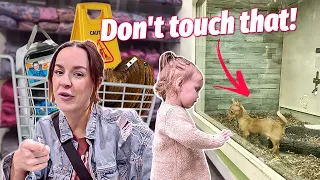 Did we get a new puppy??Everything my Baby touches I BUY at the MALL!!