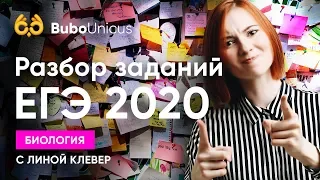 Разбор заданий ЕГЭ 2020 | БИОЛОГИЯ ЕГЭ 2020 | Лина Клевер