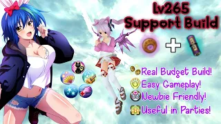 THIS BRAND NEW LEVEL 265 SUPPORT BUILD WILL BOOST YOUR SUPPORT GAMEPLAY!| Toram Online Lv265 Support