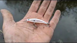 This $2 Walmart Fishing Lure is Fire!!