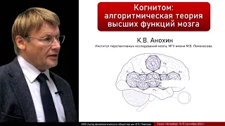 Когнитом: алгоритмическая теория высших функций мозга.  Константин Анохин