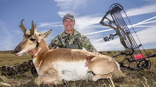 Antelope Down With The Bow!