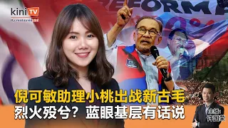 《Kinitv快报》倪可敏助理小桃出战新古毛？"烈火殁兮"？蓝眼基层有话说 - 2024年4月24日