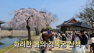 화려한 봄의 경복궁(Gyeongbokgung Palace in Korea) 산책