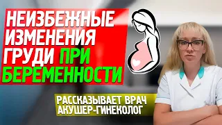 КАК МЕНЯЕТСЯ ГРУДЬ ПРИ БЕРЕМЕННОСТИ: что происходит на разных сроках? Рассказывает акушер-гинеколог