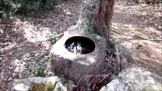 美祢市　秋芳町にある忠魂碑