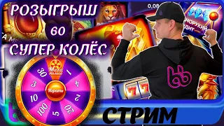 Розыгрыш 60 Супер Колёс фортуны belbet в ТГ! Ищу заносы! #белбет #игроманчик