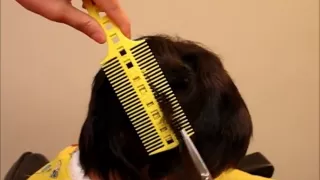 How To Cut Boy's Kids' Hair Haircut Tutorial - CombPal, New Super Easy Haircutting Tool  Video 5