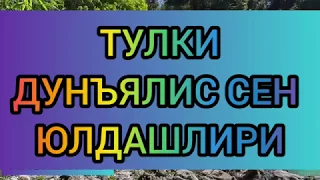 ТУЛКИ-ДУНЪЯЛИС СЕН ЮЛДАШЛИРИ