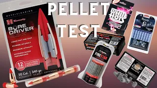 Hornady ELD X Pellets Test