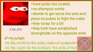 4chan Greentexts : Crabs and Fire Ants fighting over Pepe!