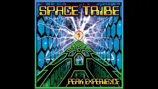 Space Tribe, Mad Maxx - Peak Experience (Kailash Mix)