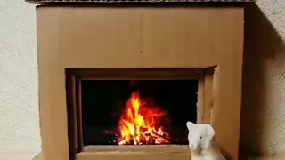 DIY Cardboard fireplace with dog