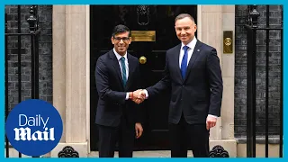 Rishi Sunak and Polish President affirm commitment to Ukraine