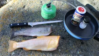 Golden Trout vs. Rainbow Trout Catch n' Cook Taste Test!