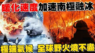 地球暖化 速度加速 南極融冰 極端氣候 全球野火燒不盡 海冰面積退縮創新低紀錄 衝擊企鵝生存【專題報導】健康2.0 @tvbshealth20