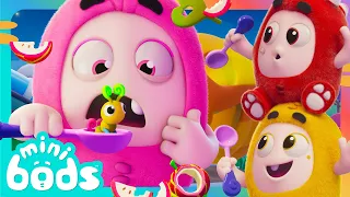 Pumpkin Munch Mayhem! 🎃 | 🌈 Minibods 🌈 | Preschool Cartoons for Toddlers