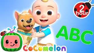 Bingo's Bath Song + More CoComelon Nursery Rhymes and Kids Songs | Learn About Animals | ABCs 123s