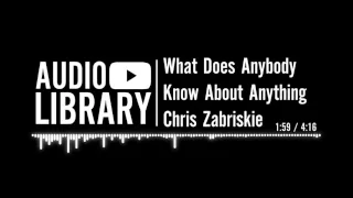 What Does Anybody Know About Anything - Chris Zabriskie