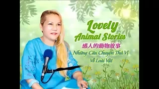 991 Lovely Animal Stories (清海無上師)