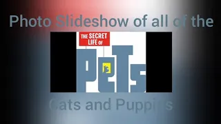 Photo Slideshow of all of The Secret Life of Pets Cats and Puppies