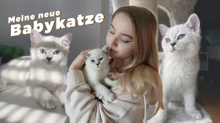 MEINE BABYKATZE TABBY ZIEHT EIN! 🏠