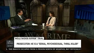 Michel Bryant & Panel Discuss the Hollywood Ripper Closing Arguments 080919