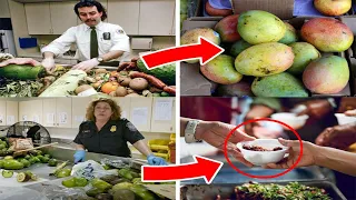 What Happens to Food That Gets Seized at the Airport