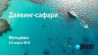 Дайвинг-сафари, Мальдивы 02-09.03.2019