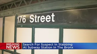 NYPD: Man stabbed at Bronx subway station, suspect on the loose