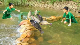 Bac uses rocks to create a strong stream of water, chasing large fish into pre-set net traps.