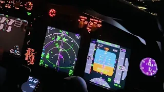 Thrilling Crosswind Landing on Boeing 737-800 | EBBR RWY25L Cockpit Perspective