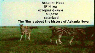 Аскания Нова 1914 год история фильм в цвете colorized The film is about the history of Askania Nova