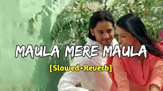 Maula Mere Maula  | SD music Boss | Anwar | Bollywood Lofi - (Slowed + Reverb)