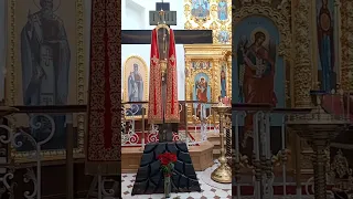 воскресенский собор ,смоленское православное кладбище,часовня Ксении Петербургской.👍👍👉👈