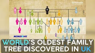 World's oldest family tree discovered in UK | UK News | NewsRme