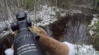 Hirvenmetsästys / Moose hunting